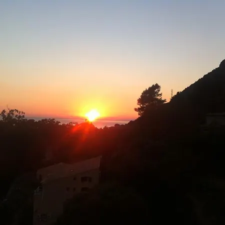 Rivellino